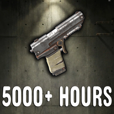 Rust Account with 5,000+ hours played (main menu hours)
